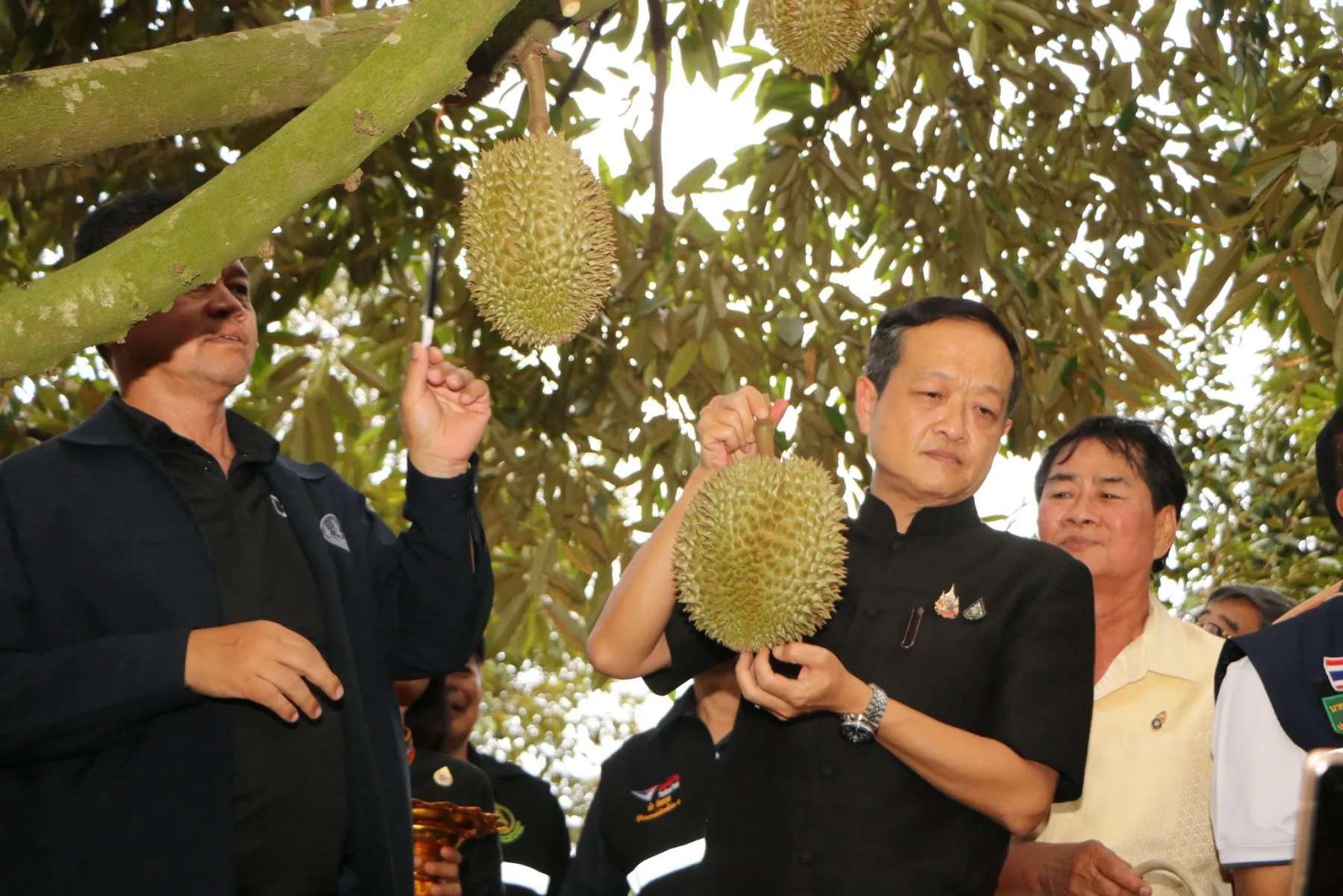 งานแถลงข่าว “เทศกาลทุเรียนภูเขาไฟศรีสะเกษ ปี 2569”